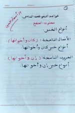 قواعد نحوية للمرحلة الإبتدائية