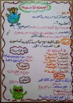 شرح قواعد نحوية للمرحلة الابتدائية