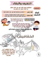 ملخص شرح شهر أكتوبر كامل + 100 سؤال للتدريب علوم للصف الرابع الأبتدائي ترم أول 2022