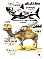 ملخص شرح شهر أكتوبر كامل + 100 سؤال للتدريب علوم للصف الرابع الأبتدائي ترم أول 2022