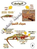 ملخص شرح شهر أكتوبر كامل + 100 سؤال للتدريب علوم للصف الرابع الأبتدائي ترم أول 2022