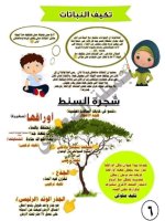 ملخص شرح شهر أكتوبر كامل + 100 سؤال للتدريب علوم للصف الرابع الأبتدائي ترم أول 2022