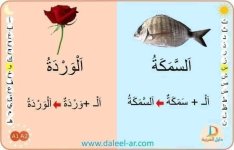 بطاقات قرائية لكلمات ب ال الشمسية و ال القمرية