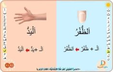 بطاقات قرائية لكلمات ب ال الشمسية و ال القمرية