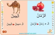 بطاقات قرائية لكلمات ب ال الشمسية و ال القمرية