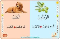 بطاقات قرائية لكلمات ب ال الشمسية و ال القمرية