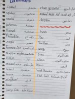 الوحدة الثانية كونكت للصف الرابع الأبتدائي ترم اول 2022