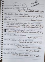 الوحدة الثانية كونكت للصف الرابع الأبتدائي ترم اول 2022