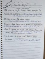 الوحدة الثانية كونكت للصف الرابع الأبتدائي ترم اول 2022