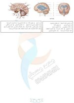 رسومات الدرس الأول علوم بكلوريا سوريا