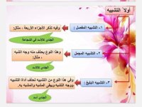 البلاغة واداب التجربة الشعرية لغة عربية للصف الثالث الثانوي 2022