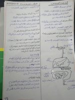 علوم الصف الرابع التكيف والبقاء