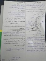 علوم الصف الرابع التكيف والبقاء