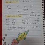 شرح منهج ديسكڤر الصف الأول ترم أول