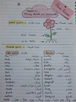 شرح منهج ديسكڤر للصف الأول