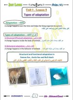 الوحدة الأولى ساينس مترجم الصف الرابع