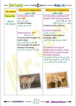 الوحدة الأولى ساينس مترجم الصف الرابع