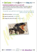 الوحدة الأولى ساينس مترجم الصف الرابع