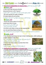 الوحدة الأولى ساينس مترجم الصف الرابع