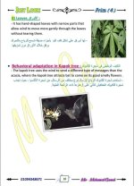 الوحدة الأولى ساينس مترجم الصف الرابع