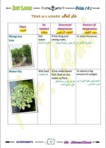 الوحدة الأولى ساينس مترجم الصف الرابع