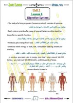 الوحدة الأولى ساينس مترجم الصف الرابع