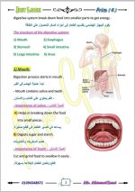 الوحدة الأولى ساينس مترجم الصف الرابع