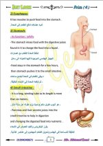 الوحدة الأولى ساينس مترجم الصف الرابع