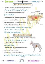الوحدة الأولى ساينس مترجم الصف الرابع