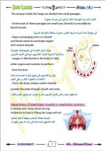 الوحدة الأولى ساينس مترجم الصف الرابع
