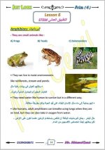 الوحدة الأولى ساينس مترجم الصف الرابع
