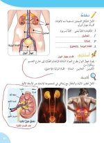حلول علوم درس جهاز الإطراح الصف السادس 2022 منهاج سوريا