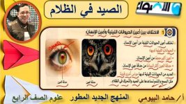 درس الصيد في الظلام علوم للصف الرابع الأبتدائي ترم أول 2022