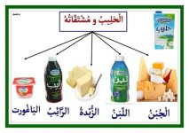 معلقات المجموعات الغذائية للسنة الأولى و الثانية إبتدائي