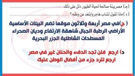 حل إختبارات شهر أكتوبر من ملحق الأضواء لغة عربية للصف الرابع الأبتدائي ترم اول 2022